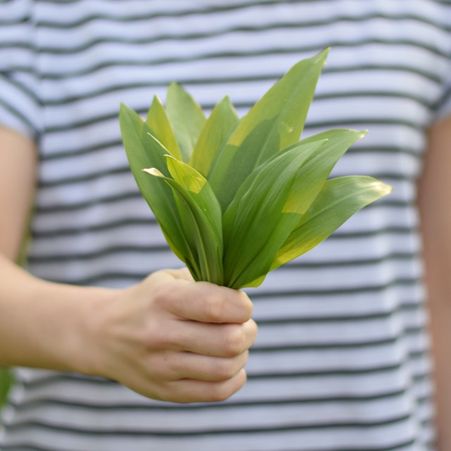 DSC_0633 – kópia (2)